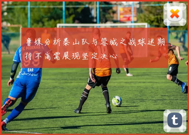 鲁媒分析泰山队与蓉城之战球迷期待不高需展现坚定决心